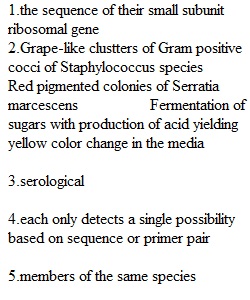 Quiz Chapter 10